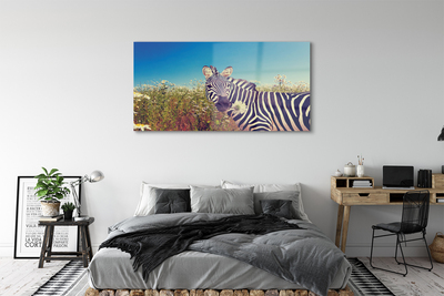 Sklenený obraz zebra kvety