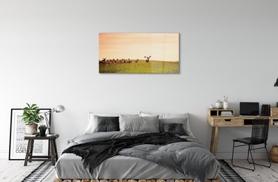 Sklenený obraz Stádo jeleňov poľa svitania