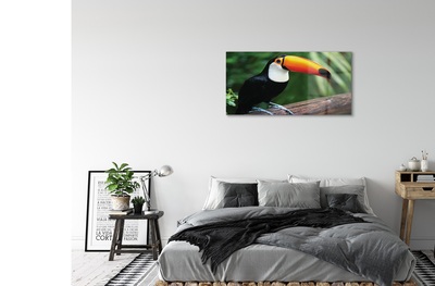 Sklenený obraz Tukan na vetve