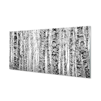 Sklenený obraz Čierna a biela breza