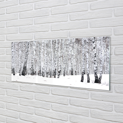 Sklenený obraz zimný brezy