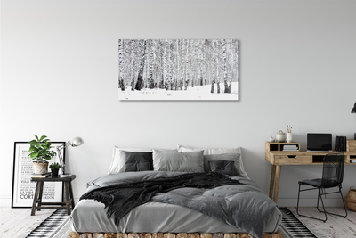 Sklenený obraz zimný brezy