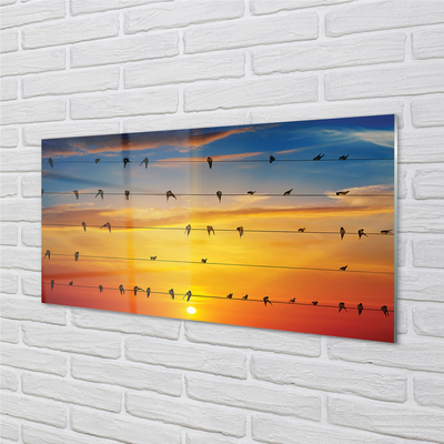 Sklenený obraz Vtáky na lanách západu slnka