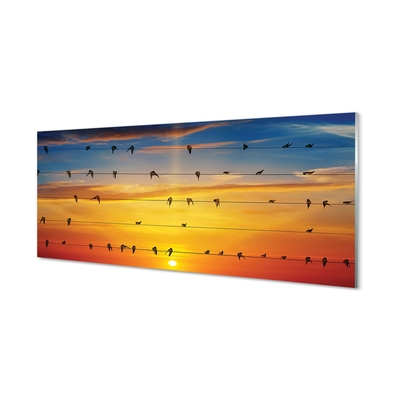 Sklenený obraz Vtáky na lanách západu slnka