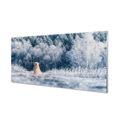 Sklenený obraz Zime salašnícky pes