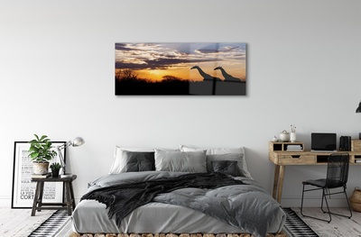 Obraz na skle Žirafy strom mraky