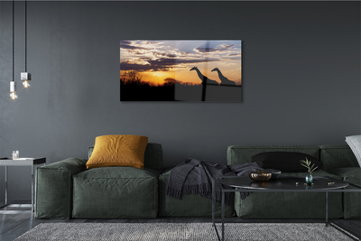 Obraz na skle Žirafy strom mraky