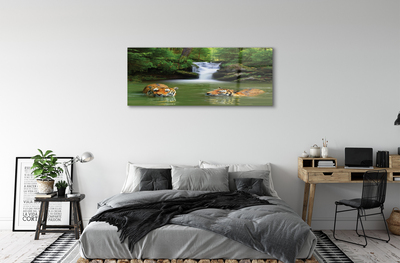 Sklenený obraz vodopád tigre