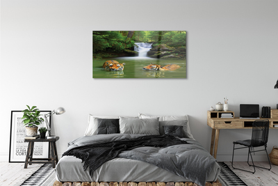 Sklenený obraz vodopád tigre