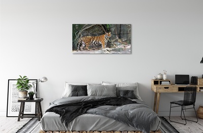 Sklenený obraz tiger džungle