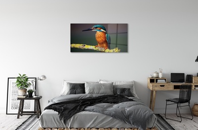 Sklenený obraz Farebný vták na vetve