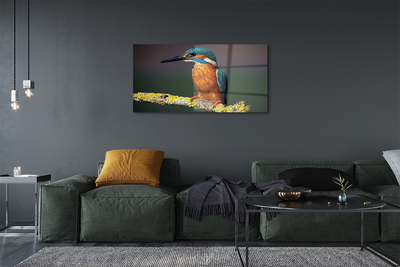 Sklenený obraz Farebný vták na vetve