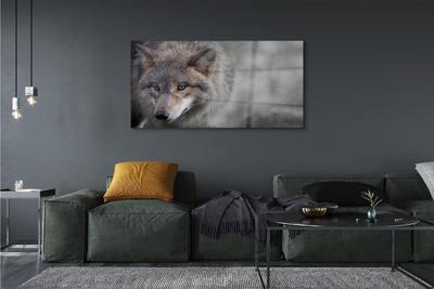 Sklenený obraz vlk