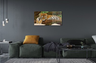 Sklenený obraz tiger tree