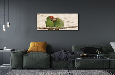 Sklenený obraz zelené papagáje