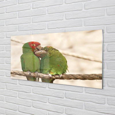 Sklenený obraz zelené papagáje
