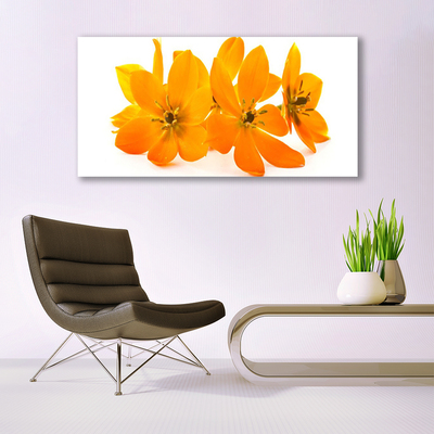 Obraz na skle Oranžové kvety