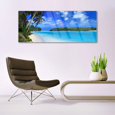 Obraz na skle Pláž palmy more krajina