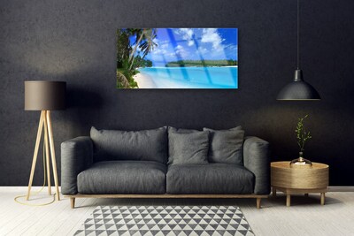 Obraz na skle Pláž palmy more krajina