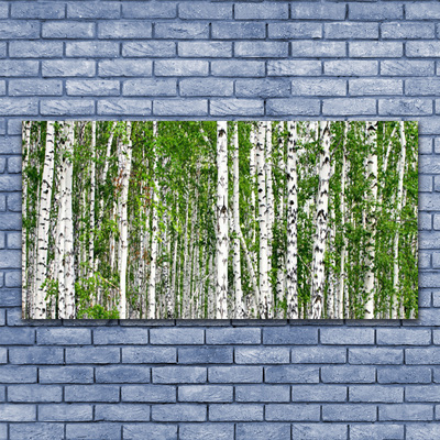 Obraz na skle Breza les stromy príroda