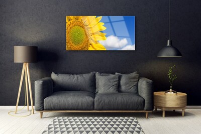 Obraz na skle Slnečnica mraky