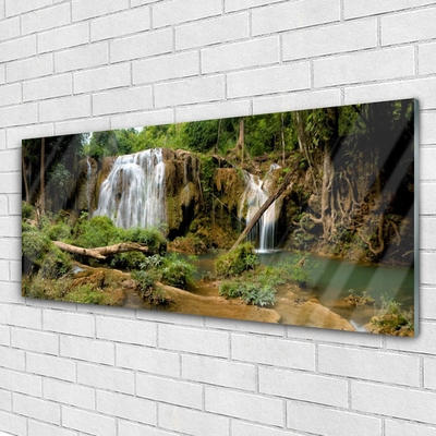 Obraz na skle Vodopád rieka les príroda