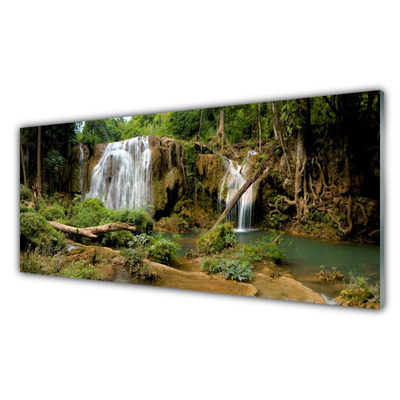 Obraz na skle Vodopád rieka les príroda