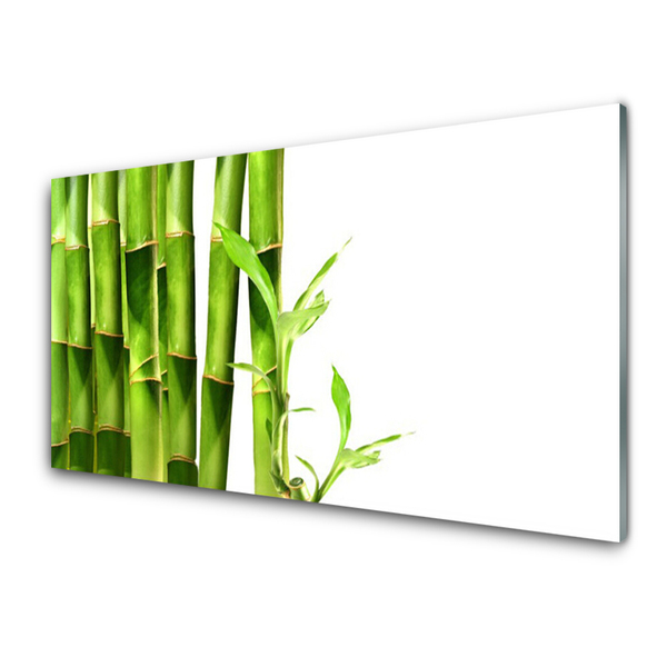Obraz na skle Bambus rastlina
