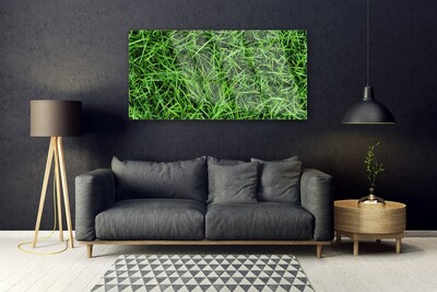 Obraz na skle Tráva trávnik