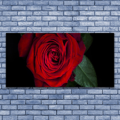Obraz na skle Ruže
