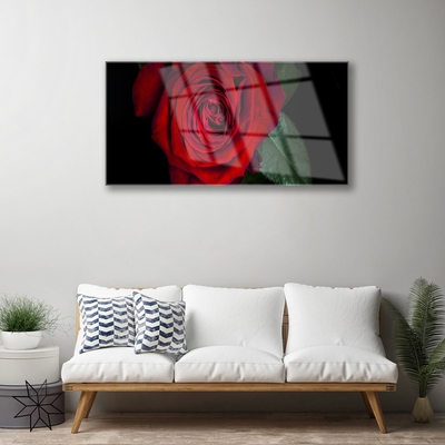 Obraz na skle Ruže
