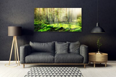 Obraz na skle Mech les príroda