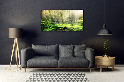 Obraz na skle Mech les príroda