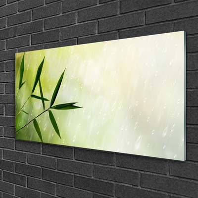 Obraz na skle Listy dážď