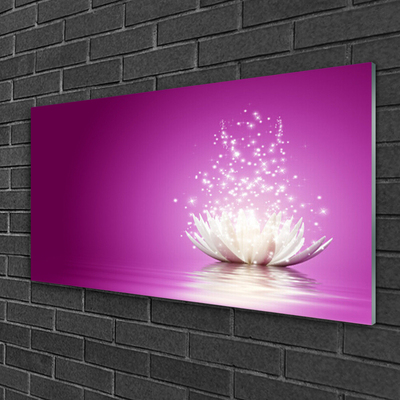 Obraz na skle Kvet lotosu