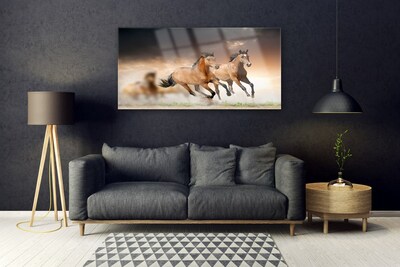 Obraz na skle Kone zvieratá