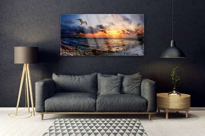 Obraz na skle Čajka more pláž krajina