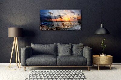 Obraz na skle Čajka more pláž krajina