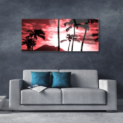 Obraz na skle Hora palmy stromy príroda