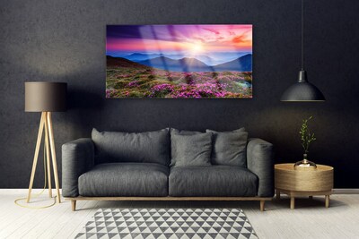 Obraz na skle Hora lúka kvety príroda