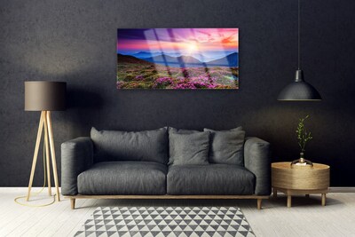 Obraz na skle Hora lúka kvety príroda