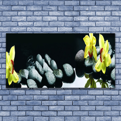 Obraz na skle Kvet kamene
