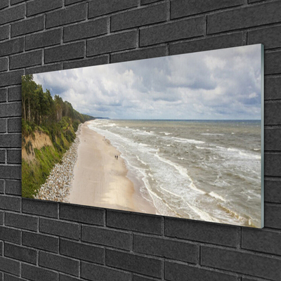 Obraz na skle Pláž more strom príroda