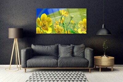 Obraz na skle Lúka kvety dúha príroda