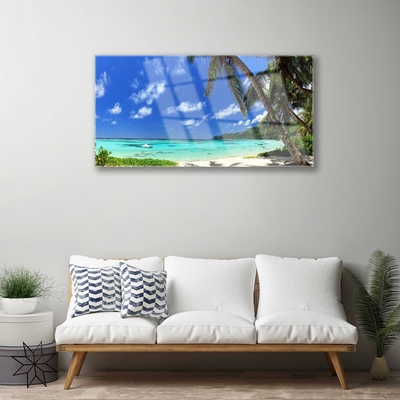 Obraz na skle Palma strom more krajina
