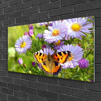 Obraz na skle Kvety motýľ príroda