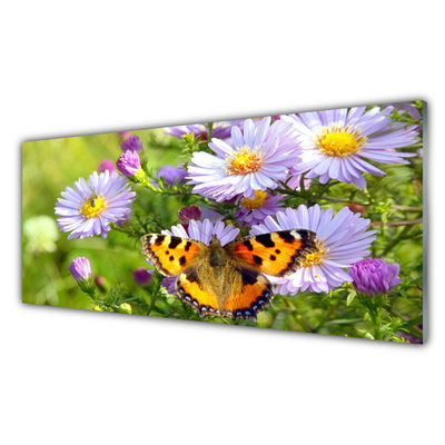 Obraz na skle Kvety motýľ príroda