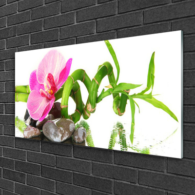 Obraz na skle Kvet rastlina príroda