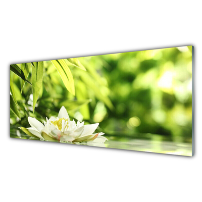 Obraz na skle Kvet listy