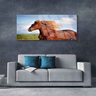 Obraz na skle Kôň zvieratá